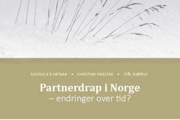 Bilde Partnerdrap i Norge - rapport