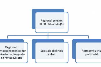 Bilde organisasjonskart SIFER Sør-Øst